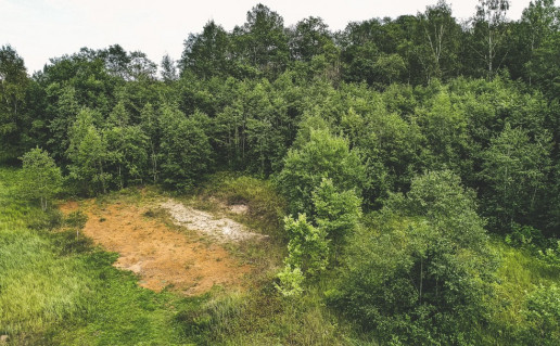 17_Papartynės atodanga.jpg